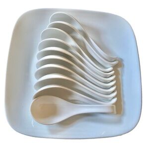 New White Fine Porcelain Pho Spoon 10 Piece Set